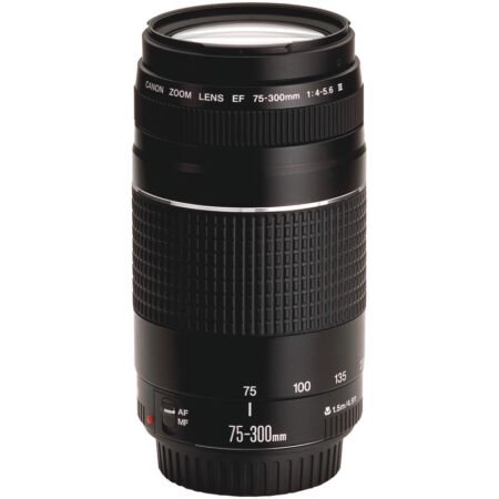 Canon EF75-300mm F/4-5.6 III Telephoto Zoom Lens
